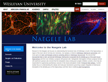 Tablet Screenshot of naegelelab.research.wesleyan.edu